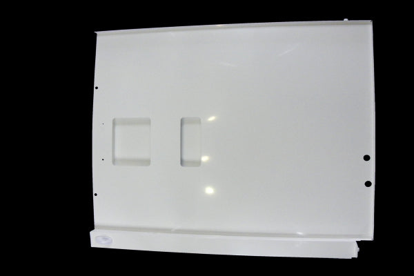 LOWER BACK PANEL ASSY (W)